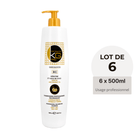 Keragold Shampoing BC – Kératine & Huile de Coco – 500ml – Colisage x6 - BEAUTEPRICE Keragold Shampoing BC – Kératine & Huile de Coco – 500ml – Colisage x6 Lot de shampoing Keragold KG PRO BEAUTEPRICE