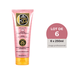 Keragold Shampoing FB – Kératine & Biotine – 250ml – Colisage x6 - BEAUTEPRICE Keragold Shampoing FB – Kératine & Biotine – 250ml – Colisage x6 Lot de shampoing Keragold KG PRO BEAUTEPRICE