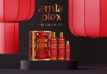 LISSAGE NANO INDIEN Amla Plex Minikit 2x100ml+PCA Complex 30 ml-Elyssa cosmetiques - BEAUTEPRICE LISSAGE NANO INDIEN Amla Plex Minikit 2x100ml+PCA Complex 30 ml-Elyssa cosmetiques ELYSSA COSMETIQUES BEAUTEPRICE