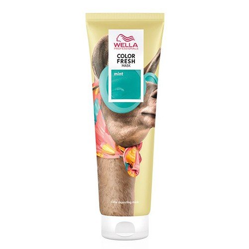 Masque Repigmentant Color Fresh Mint Wella 150ml - BEAUTEPRICE Masque Repigmentant Color Fresh Mint Wella 150ml WELLA BEAUTEPRICE