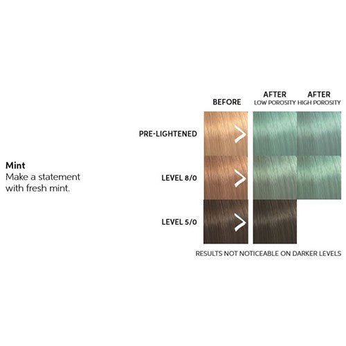 Masque Repigmentant Color Fresh Mint Wella 150ml - BEAUTEPRICE Masque Repigmentant Color Fresh Mint Wella 150ml WELLA BEAUTEPRICE