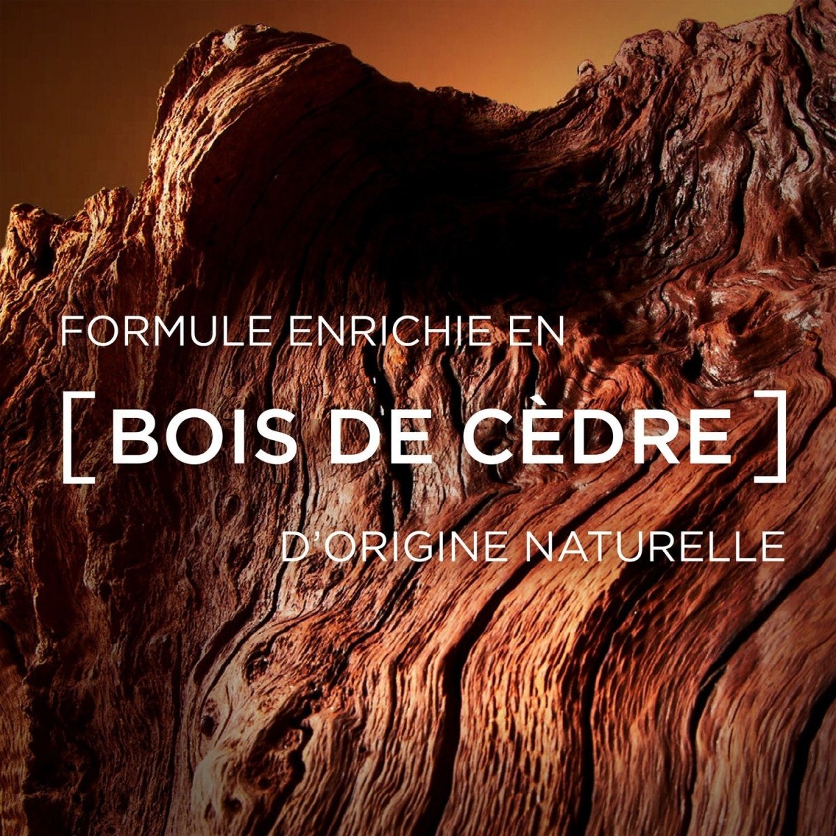 Soin Visage & Barbe Courte Homme – Huile Essentielle de Bois de Cèdre – Barber Club Men Expert – L’Oréal Paris - BEAUTEPRICE Soin Visage & Barbe Courte Homme – Huile Essentielle de Bois de Cèdre – Barber Club Men Expert – L’Oréal Paris Rasage & après - rasage L'Oréal Paris BEAUTEPRICE